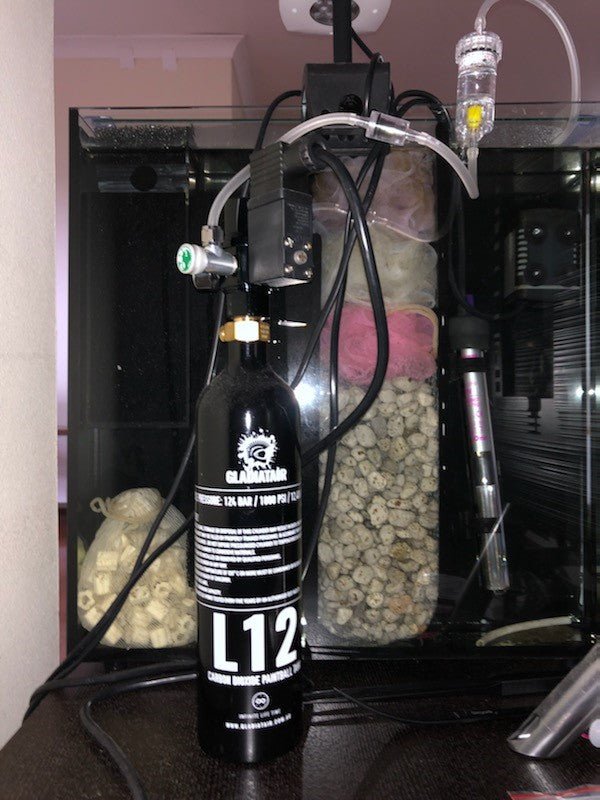 CO2 Cylinders for Aquariums